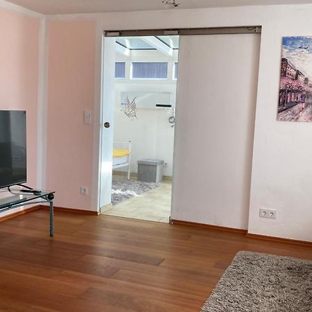Fewo Luxus Wohnung Im Eigenen Ferienhaus, 120 Qm, Naehe Regensburg Mit Balkon, Terrasse & Garten, Gute Zuganbindung Laber エクステリア 写真